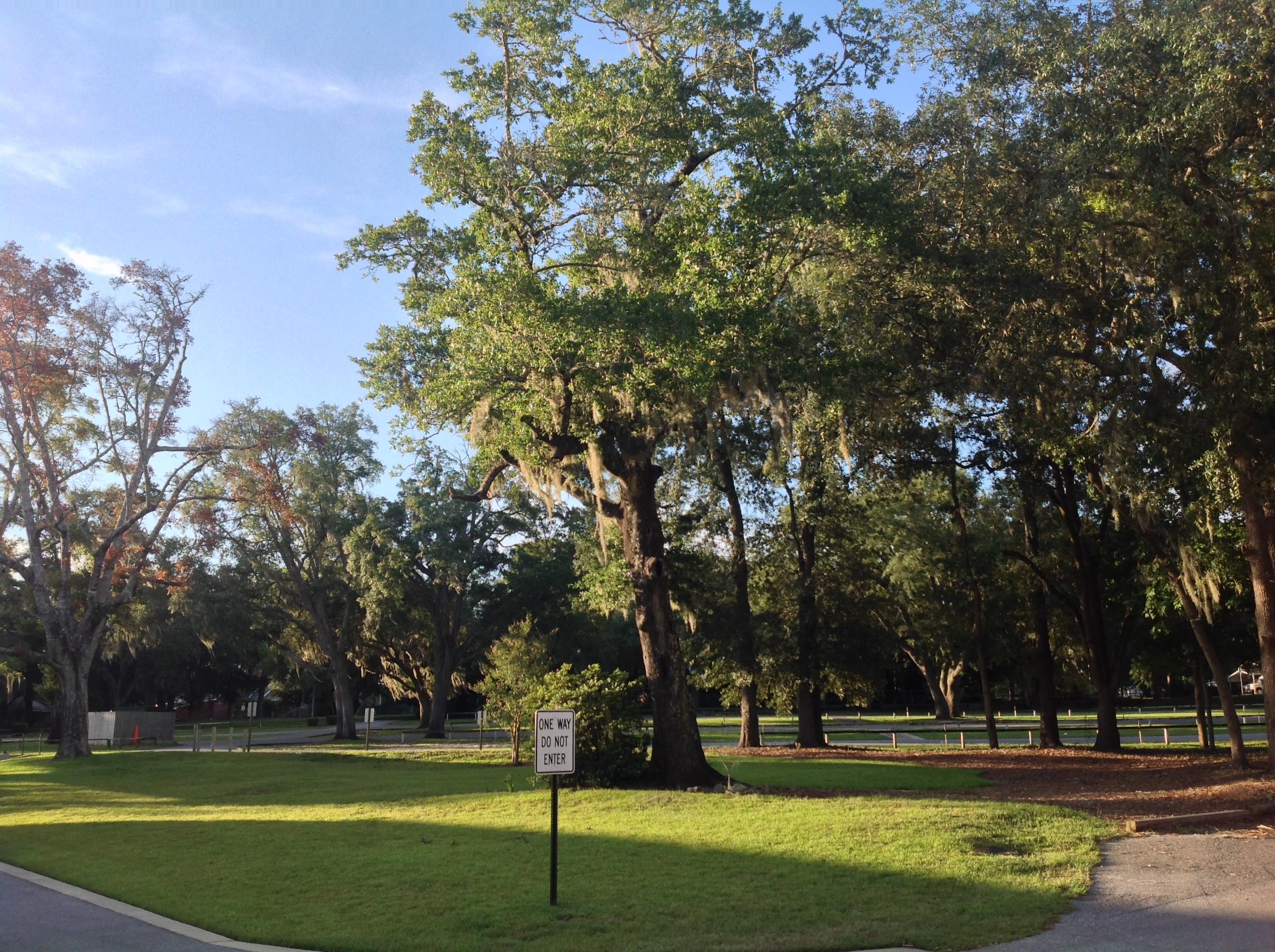 BUSEY'S PLACE - Residential