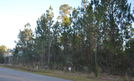 BEAR CREEK COTTAGES - Land