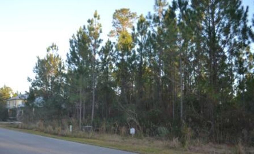 This is a nice interior lot in tucked away in Freeport, yet close to the 331 Bridge. Quiet community with a pool. Drive through to see the nice homes already built in Bear Creek. Lot is on the first street in Bear Creek within walking distance to the neighborhood pool. Great location.