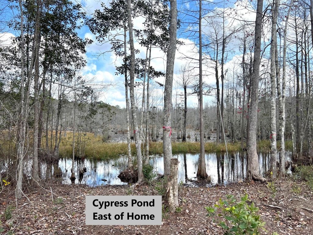 listing image 76