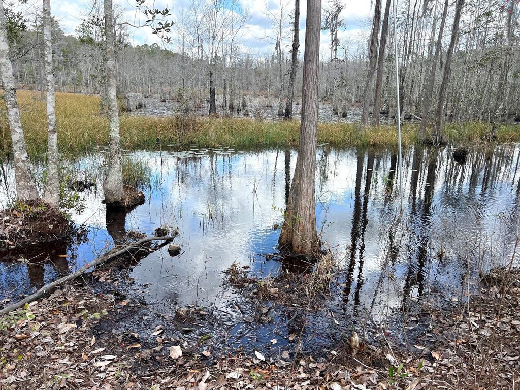 listing image 78