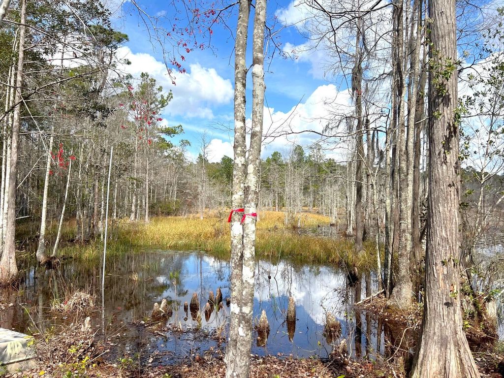 listing image 101
