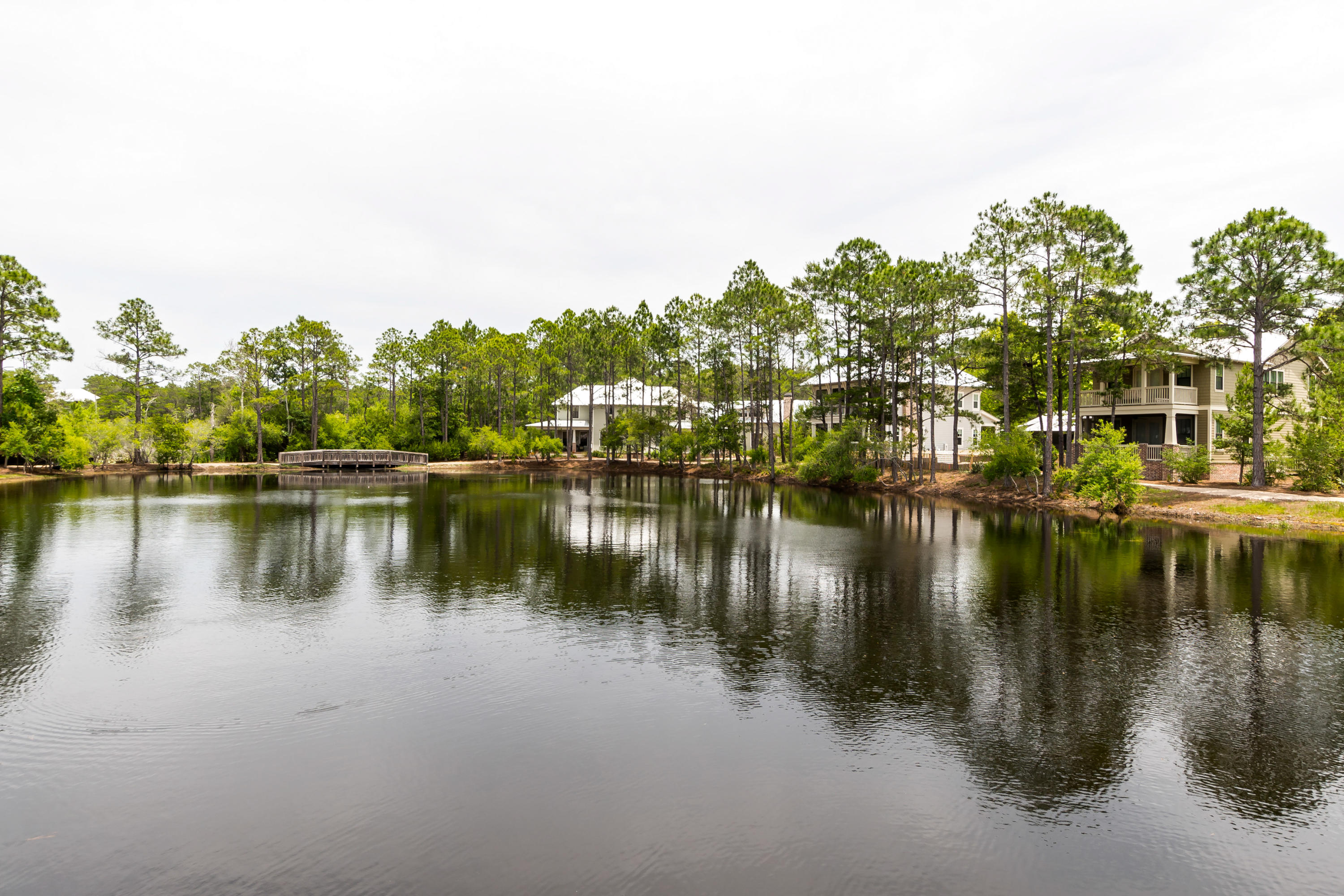 FOREST LAKES - Residential