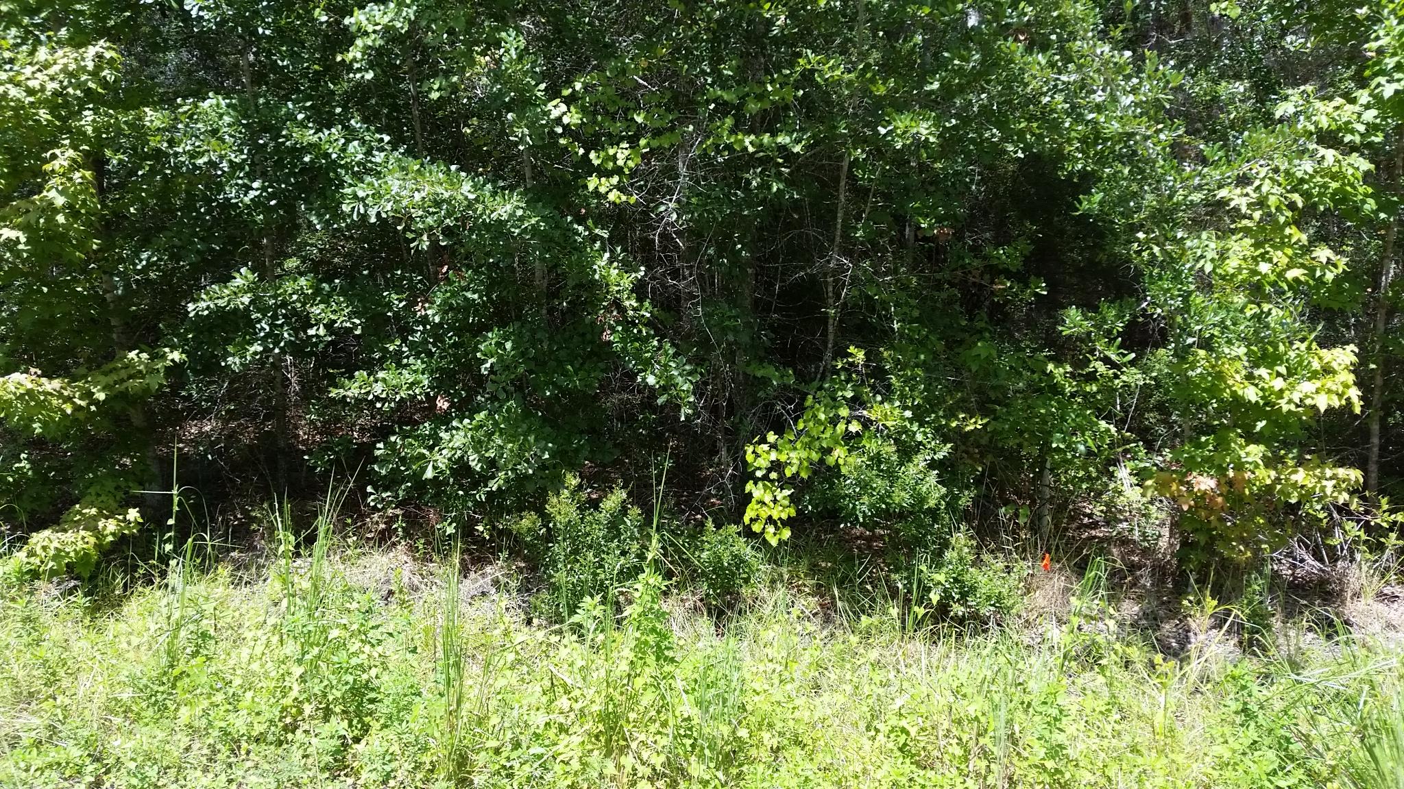 SADLER UNREC S/D - Land