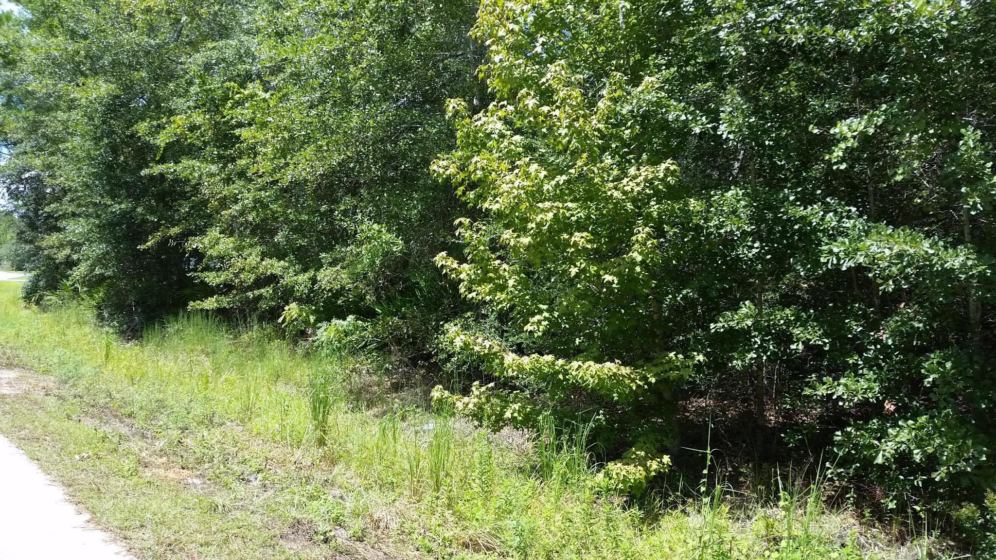 SADLER UNREC S/D - Land