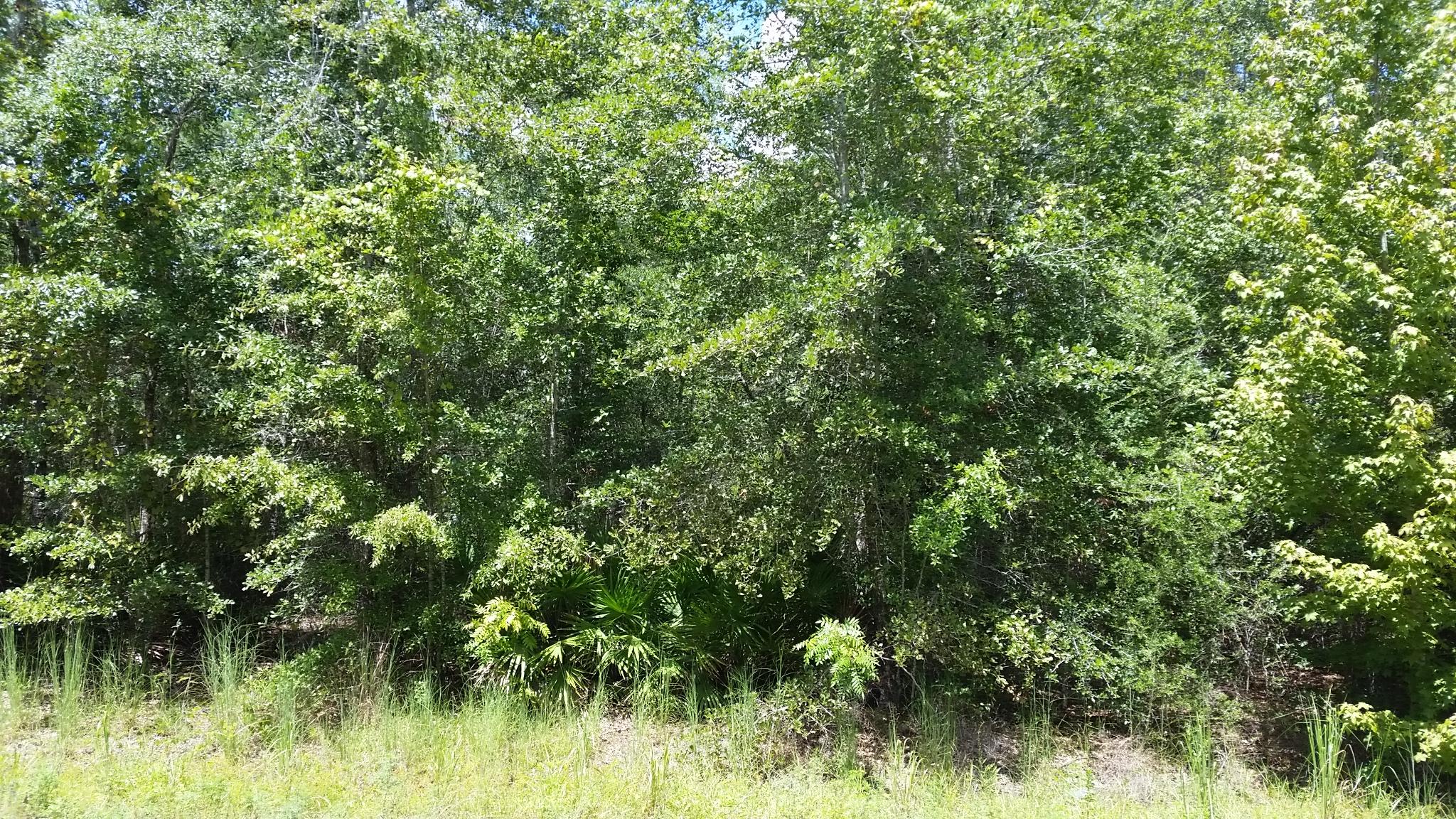 SADLER UNREC S/D - Land