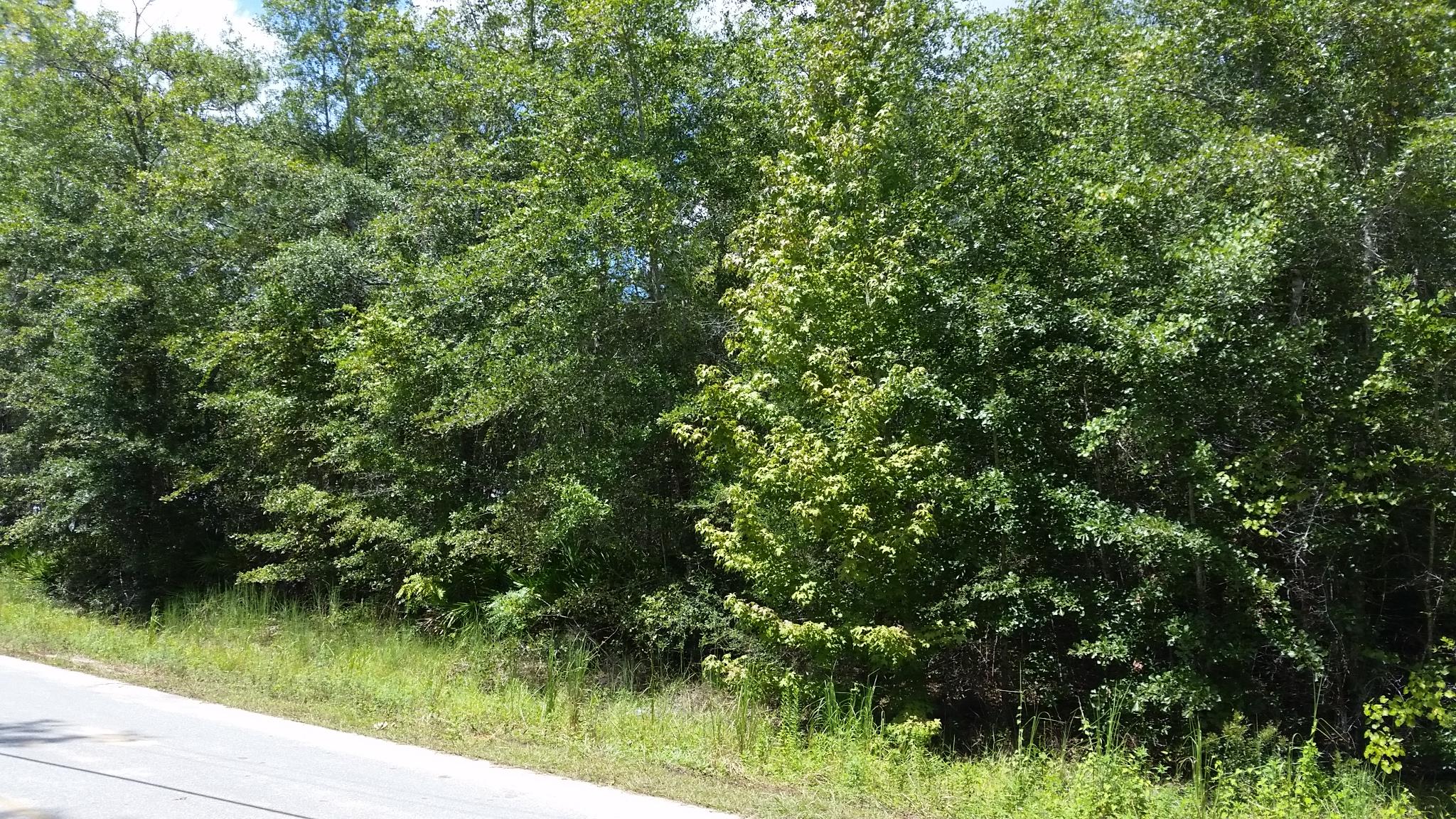 SADLER UNREC S/D - Land