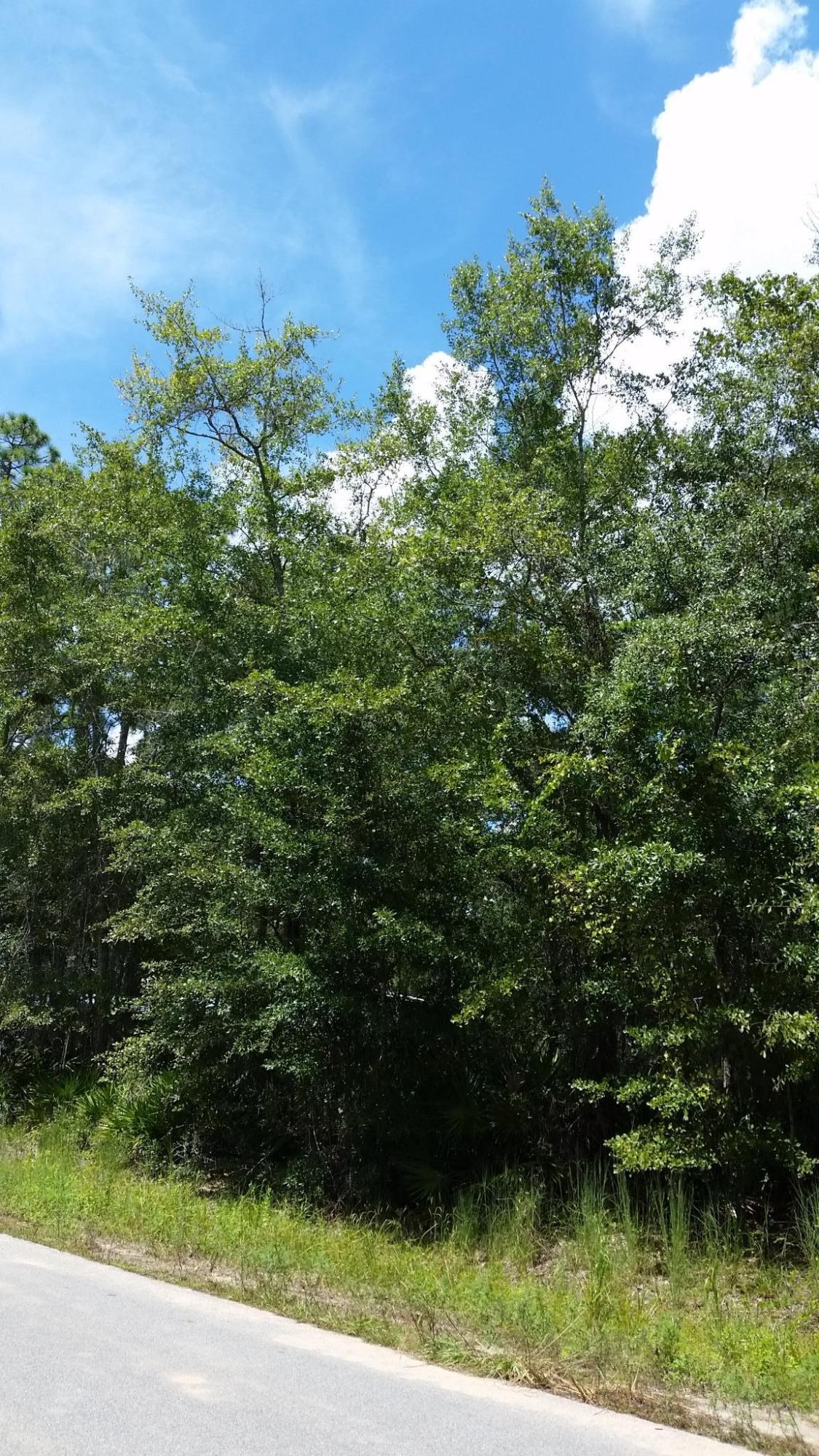 SADLER UNREC S/D - Land