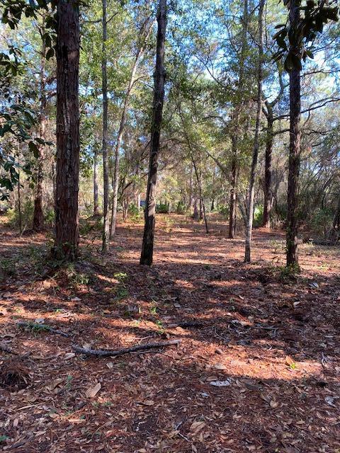 HEWITT BAYOU UNREC - Land