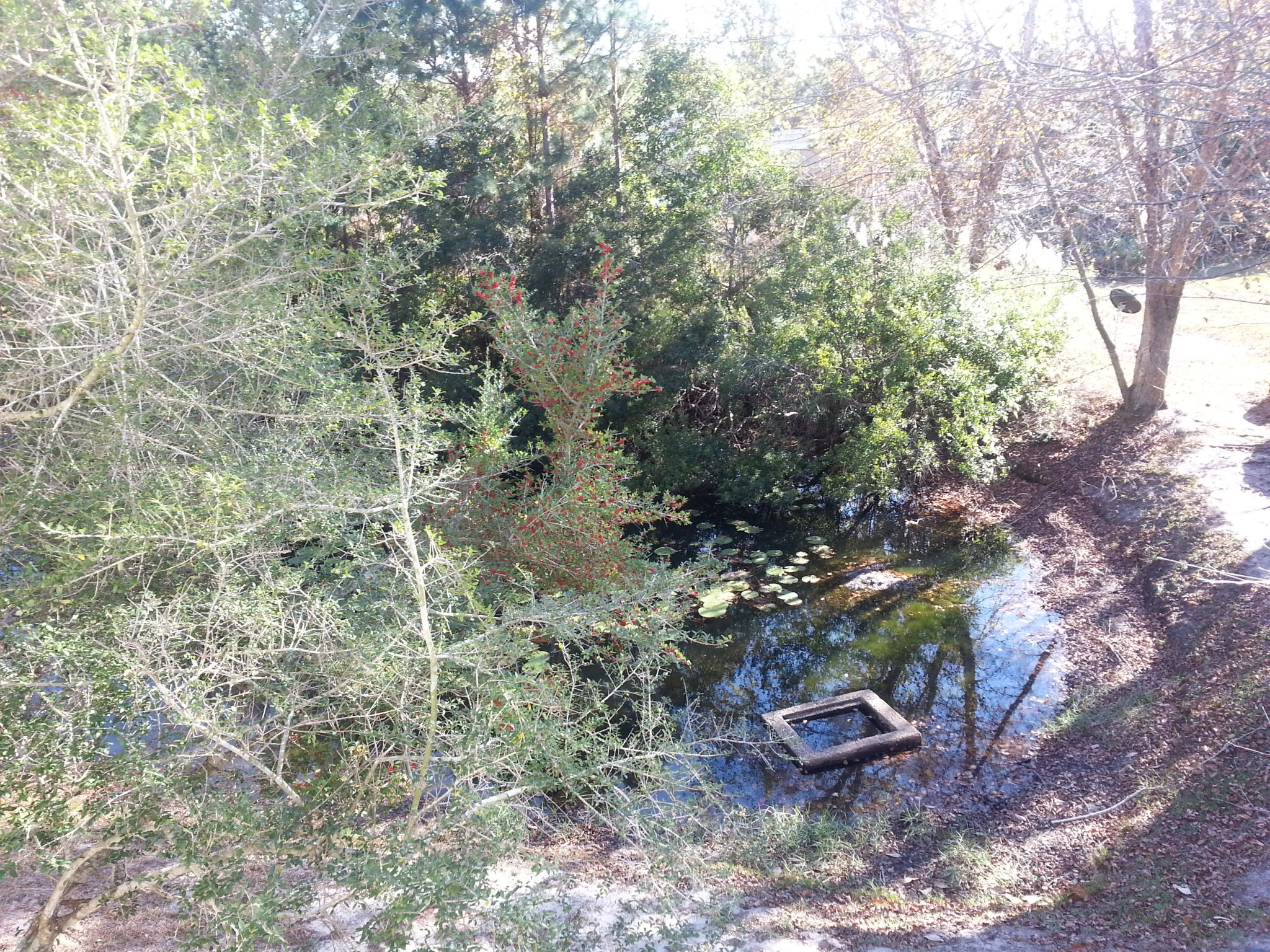 POINTE OF VIEW CONDO - Residential