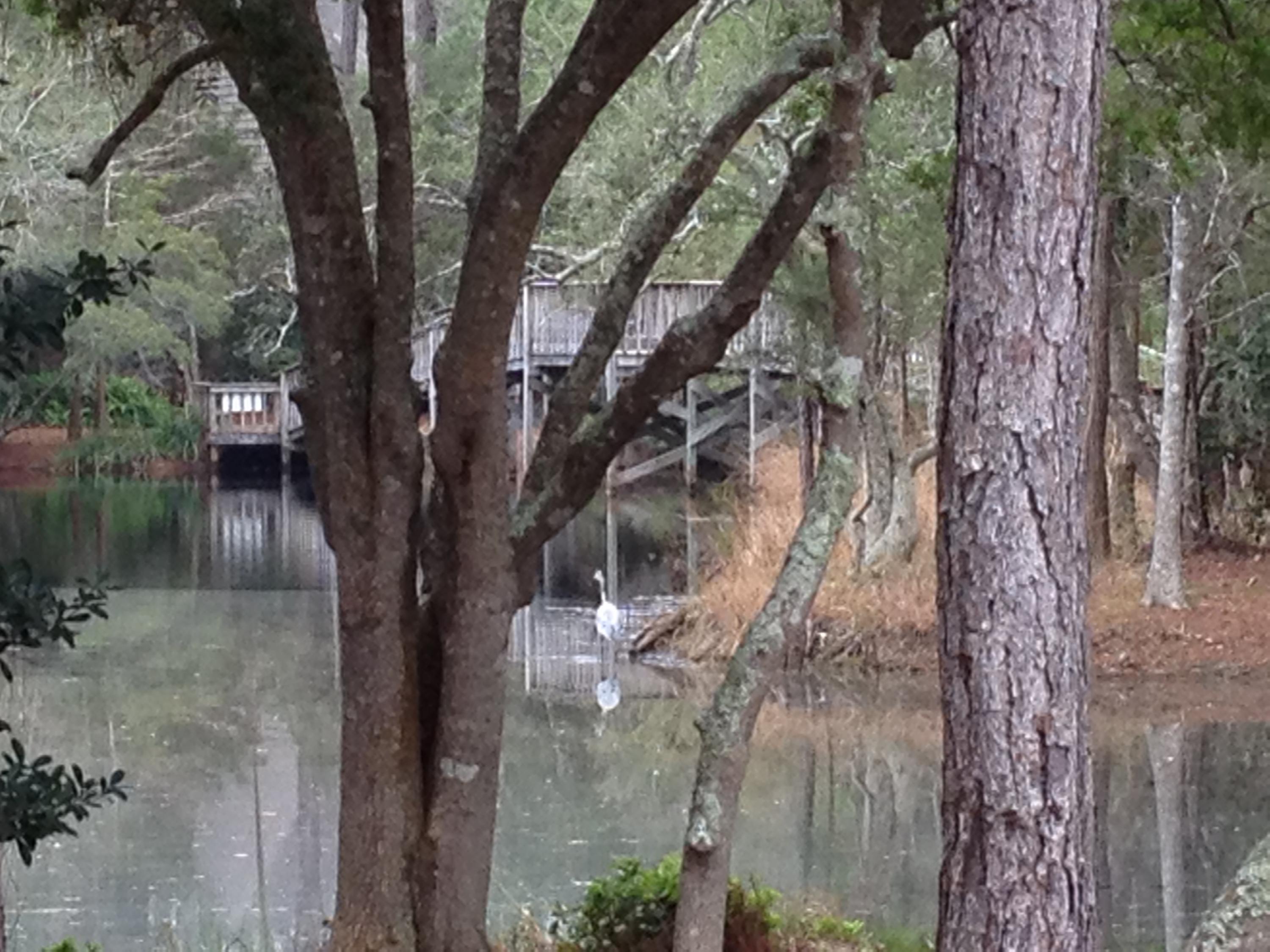 CASSINE VILLAGE - Residential