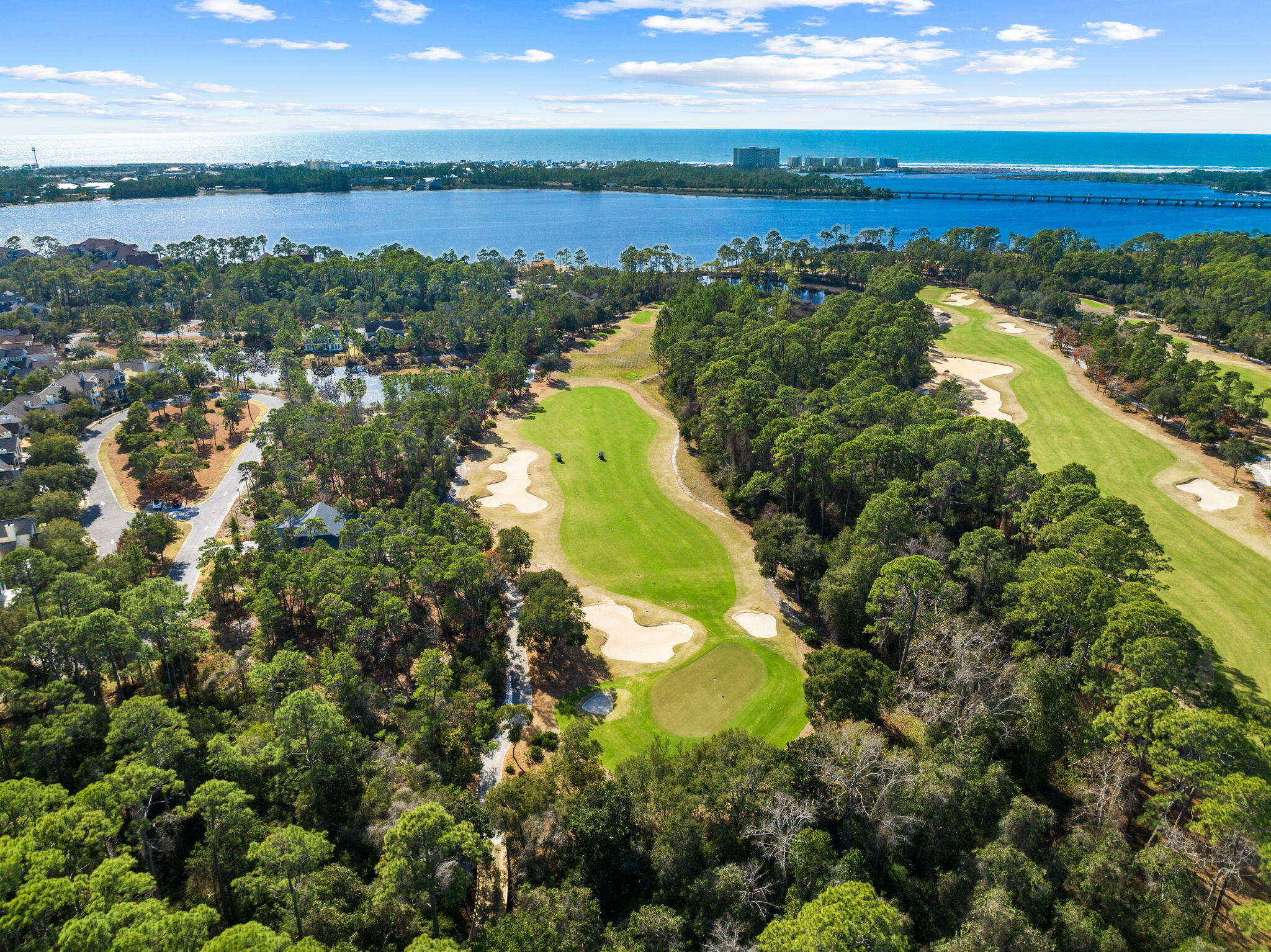 Wild Heron - Residential