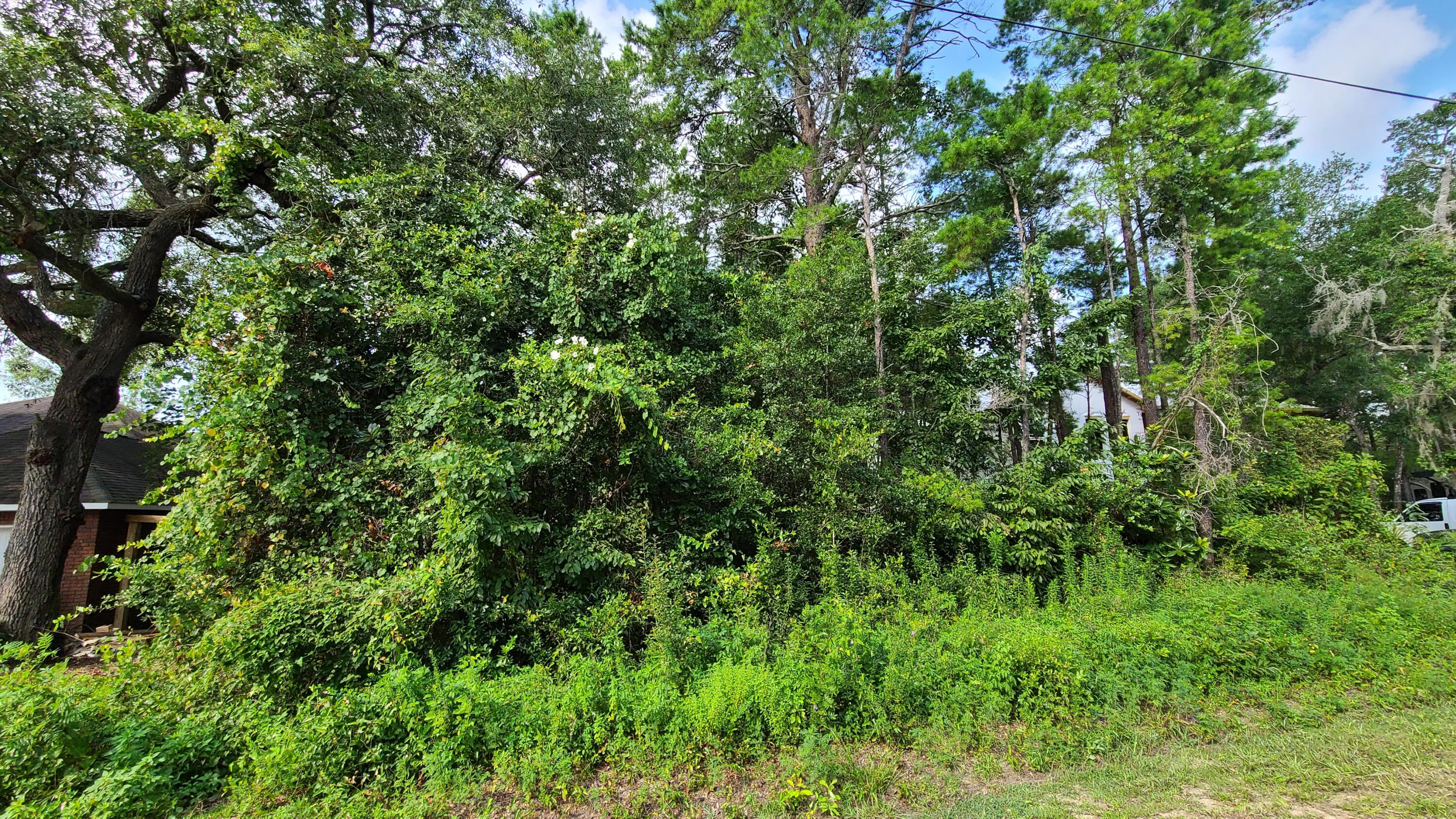 DAUGHETTES AMENDED - Land