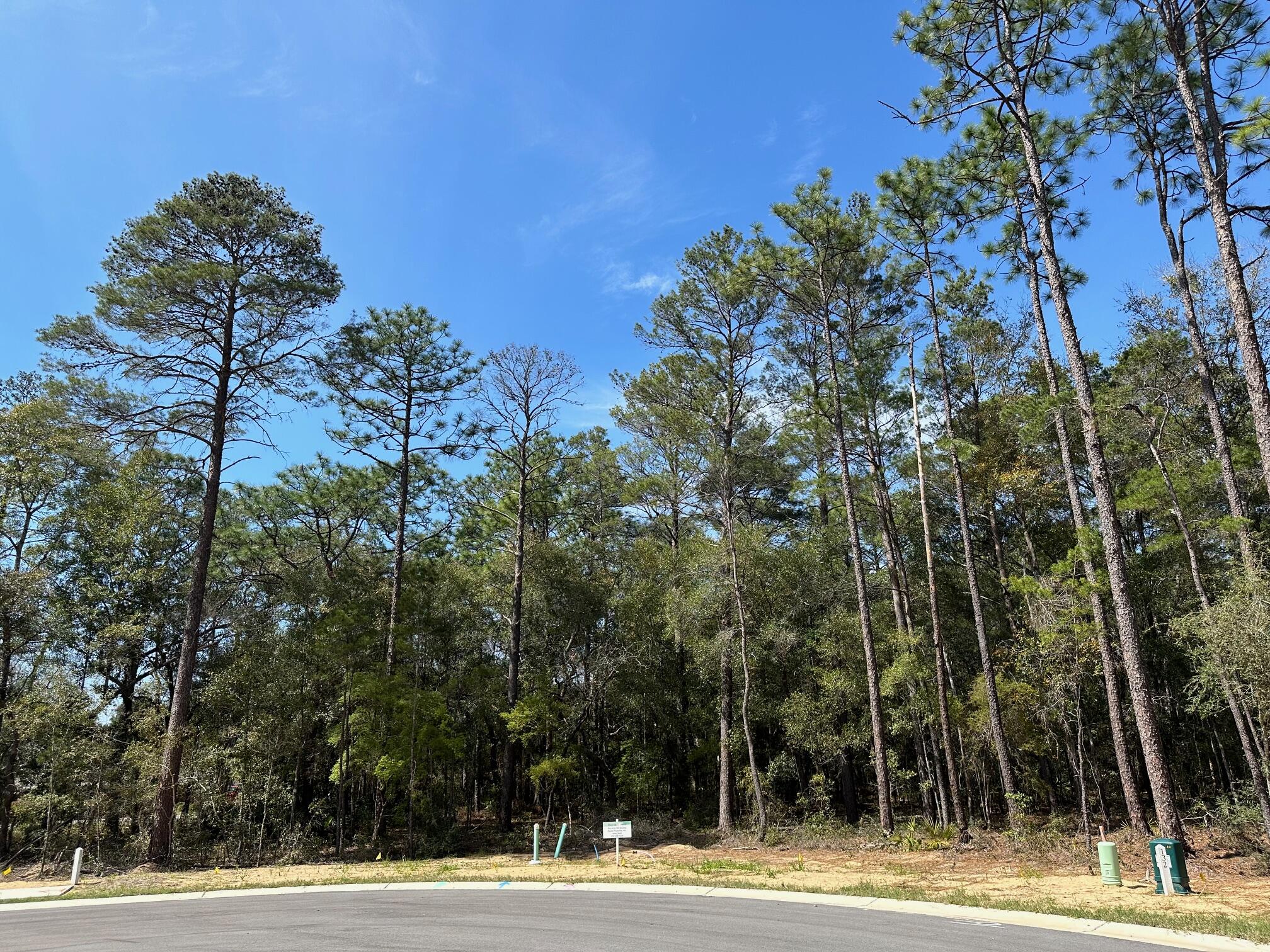Cul-de-sac lot in desirable Deer Moss Creek(r)! This is one of only 12 large, flat lots developed in DMC Phase 7A. The cul-de-sac lots vary in size between 0.49 to 0.78 acres. If you're looking for an estate-sized lot in Niceville for your custom home, this is it. Deer Moss Creek(r) is an 1,100- acre, master-planned, mixed-use community in Niceville, FL. The west side of this lot borders a 30' natural wooded buffer. Community plans include a nature trail, bike lanes, parks, pools, office and retail space. Sidewalks are 5' wide and home plans must be approved by the Town Architect.This lot is large enough for a pool.