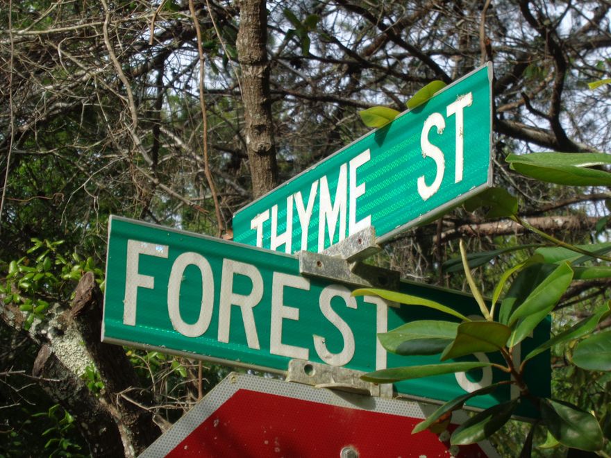 Great opportunity to secure a place in ''Old Seagrove''! Small 'beach bungalow' needs love; but, for a reasonable price one can have a beach getaway, steps to beautiful beaches, 30-A's bike path, Seaside shopping and restaurants. Outdoor shower with plenty of room for a pool, keep this home, redevelop it later. ***Buyer is responsible for personally verifying details about this property. Any information contained in this listing is believed to be accurate but is not guaranteed.***