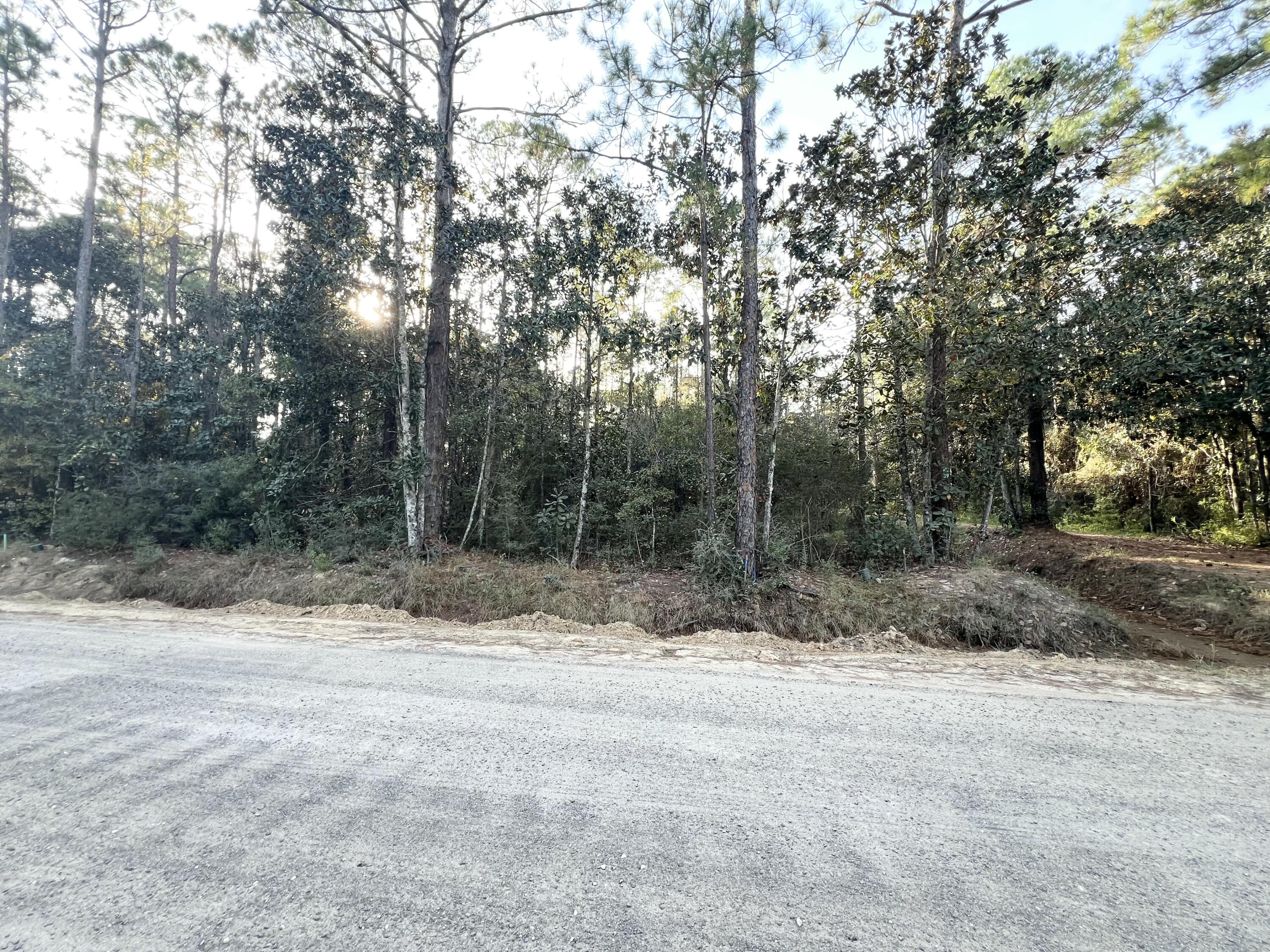 TOWN OF SANTA ROSA - Land