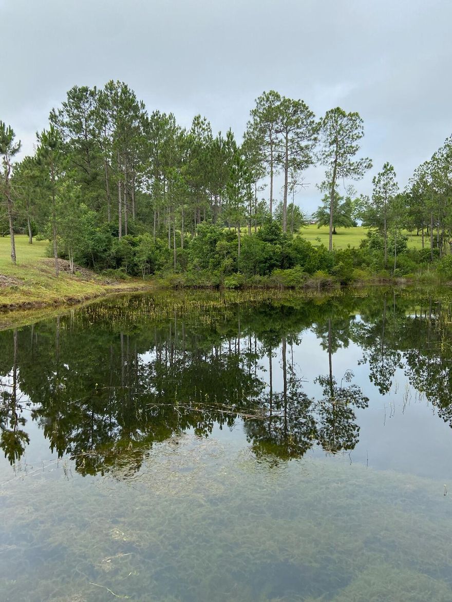 3-Acre lot with large pond. Three off-grade buildings custom built into small residence. Pictures coming soon!