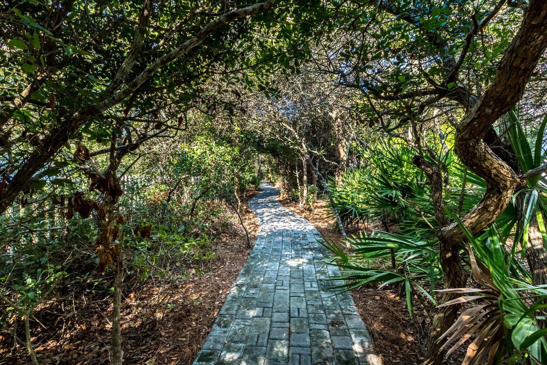 INLET BEACH - Residential
