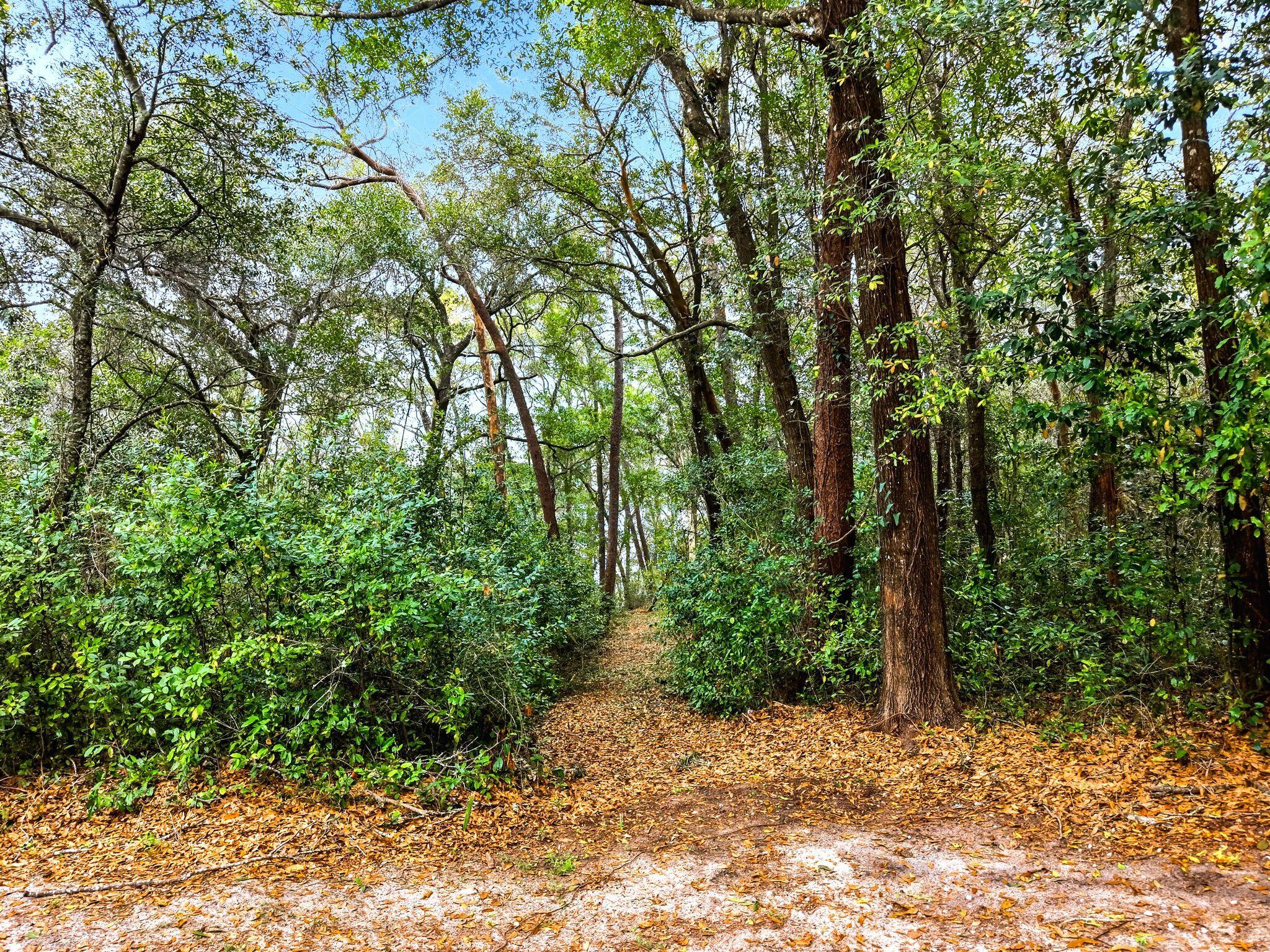 Valparaiso Plat 3 - Residential