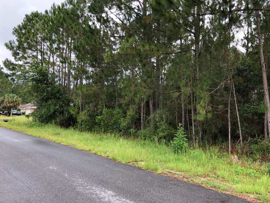 Beautiful HIGH and DRY LOT on 1/2 acre in East Holley By The Sea. Enjoy all the amenities that HBTS has to offer like, full gym, sauna, steam room, game room, community room, after school care, tennis courts, 3 Pools with one open year round, camp sites by the water, dock and great beach house to rent for private functions. This lots is located on a cul de sac so not a lot of traffic. This property will go quickly due to the high demand for property in the area and building. Contact me today for more details.