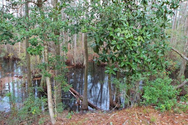 UNRECORDED SUBDIVISION - Residential