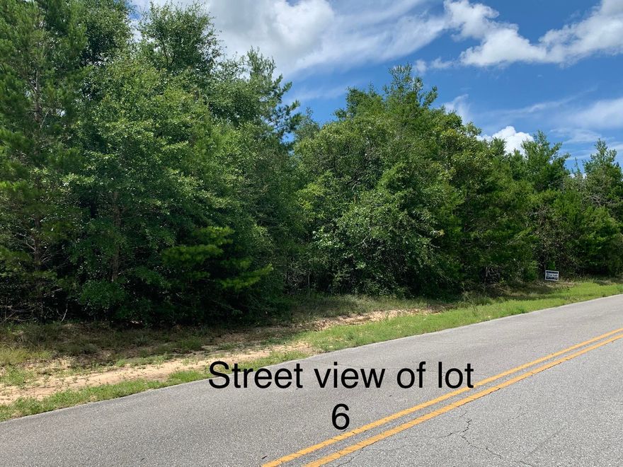 Nice level lot on paved road that is county maintained. Water and power available. Water tap has NOT been paid. On the property appraisers website the property shows as 2 lots (6 & 7). This one is lot 6. The county is in the process of splitting the lots back into separate parcel ID's which will total approximately 1.5 +/- acres each. Both lots being sold separately and approximate measurements are shown in photos. Buyer to perform due diligence including a survey for accurate property lines. Property borders Oakridge Road & Wagner Drive. Lot 7 listed under MLS #875754.