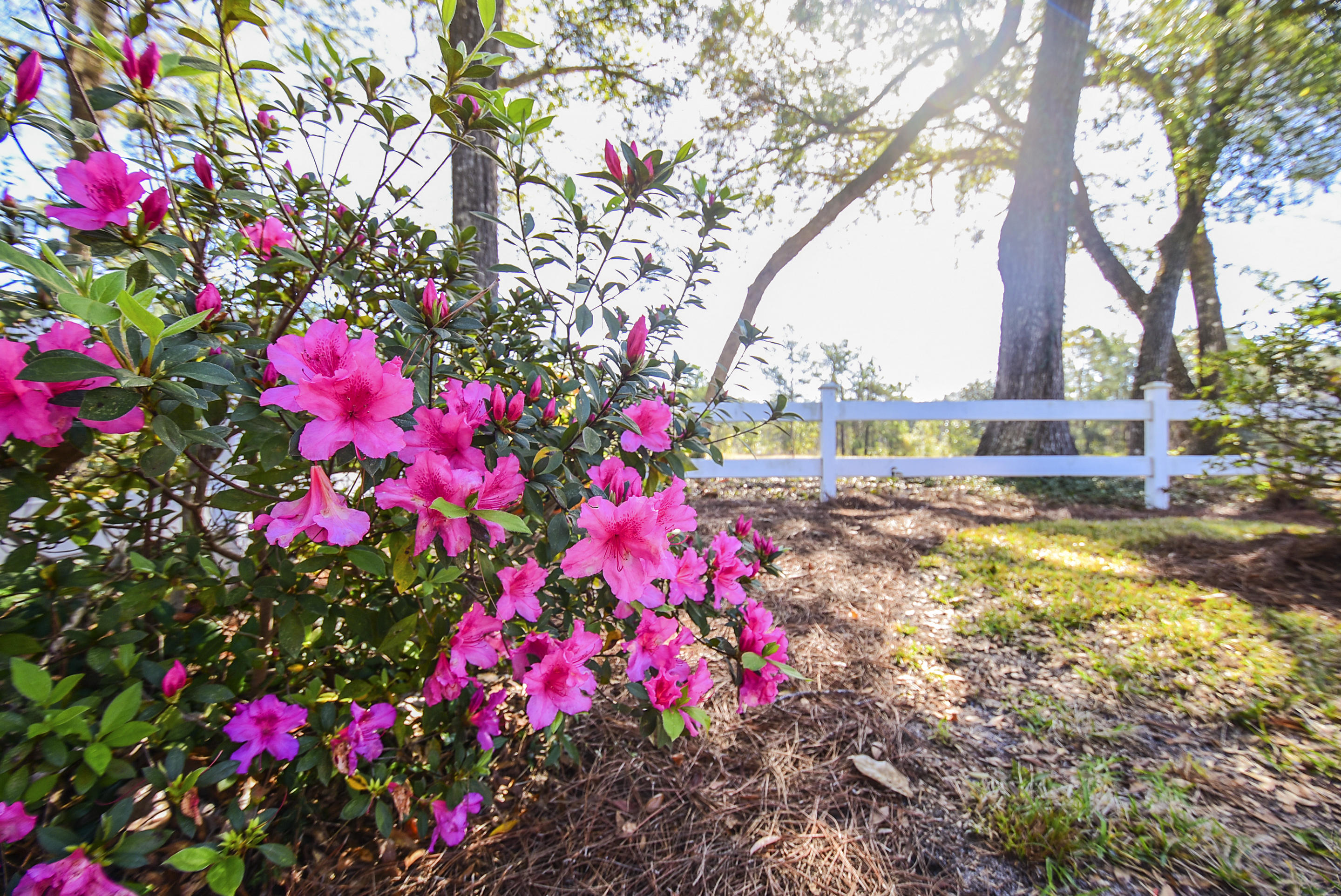 MAGNOLIA FOREST S/D - Residential