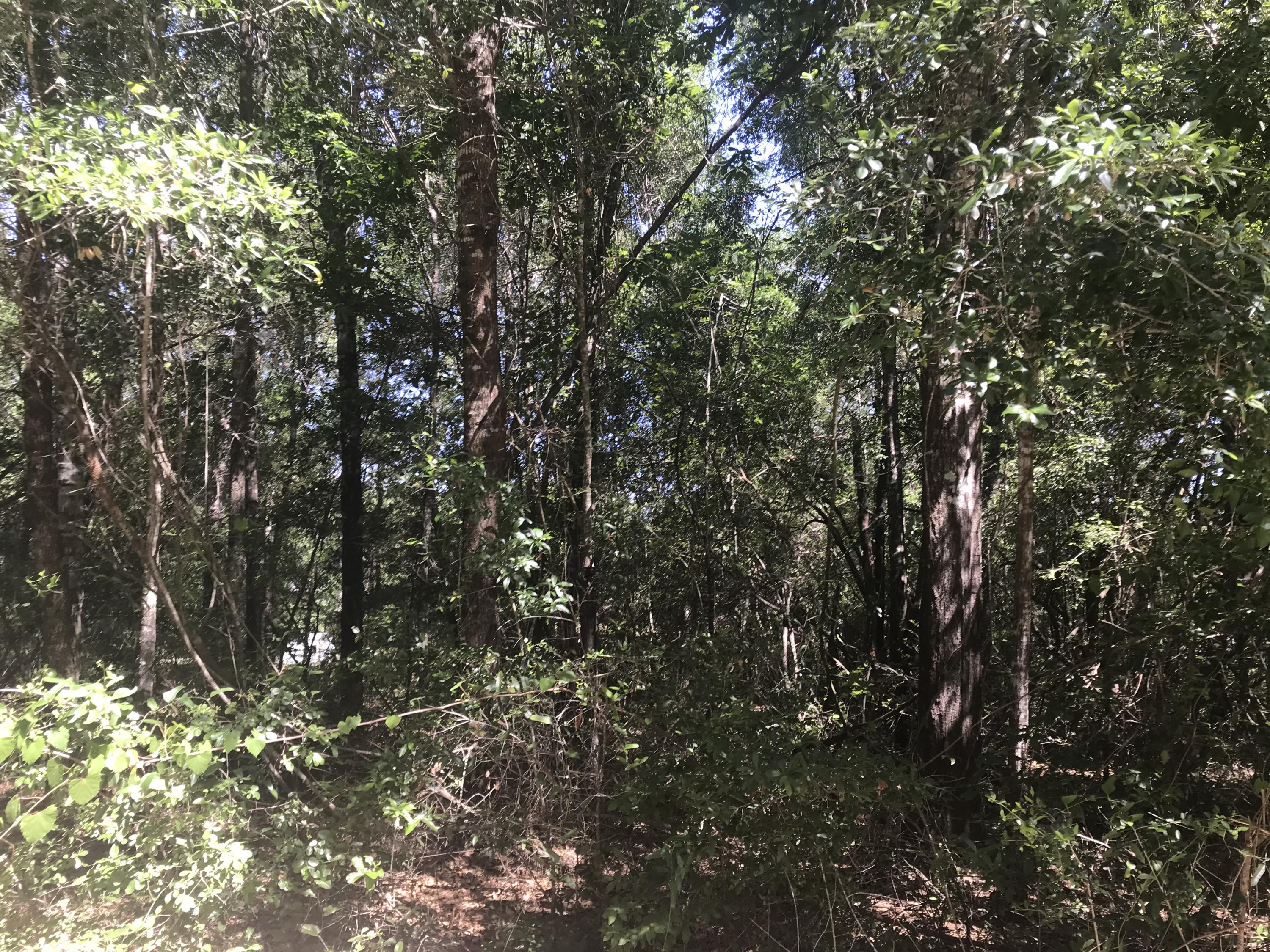 OAKWOOD HILLS UNIT 3 - Land