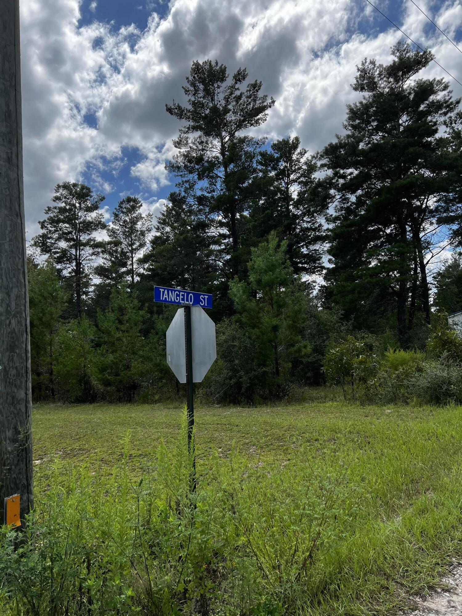 OAKWOOD HILLS UNIT 1 - Land