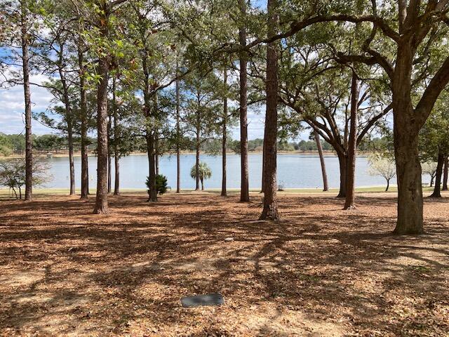 TOWN OF DEFUNIAK SPRINGS - Residential