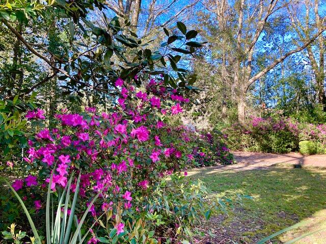 TOWN OF DEFUNIAK SPRINGS - Residential