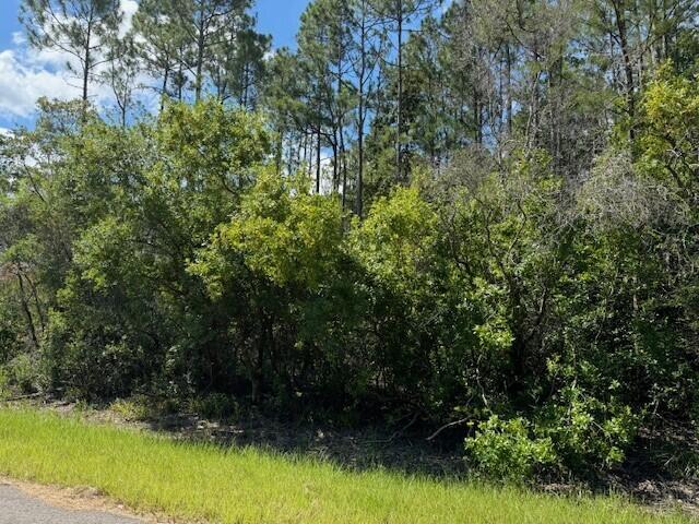 HOLLEY BY THE SEA - Land