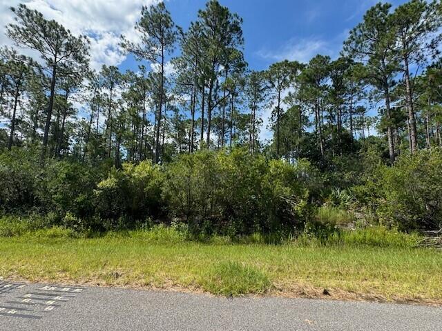 HOLLEY BY THE SEA - Land