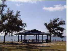 HOLLEY BY THE SEA - Land