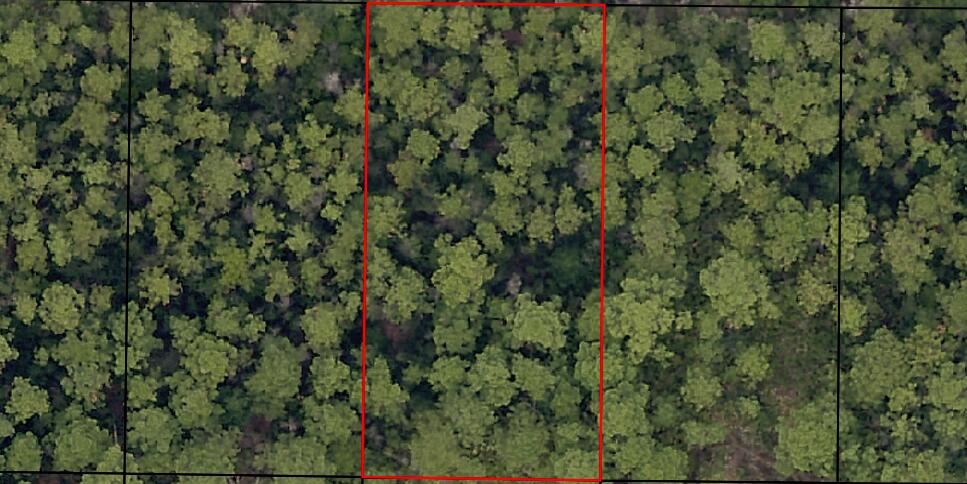 HOLLEY BY THE SEA - Land