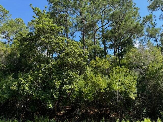 HOLLEY BY THE SEA - Land