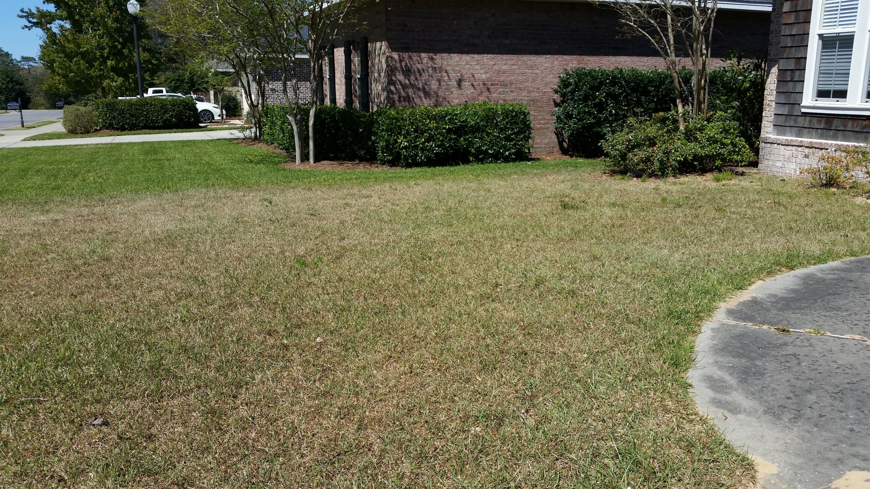 THE PRESERVE AT SWIFT CREEK - Residential