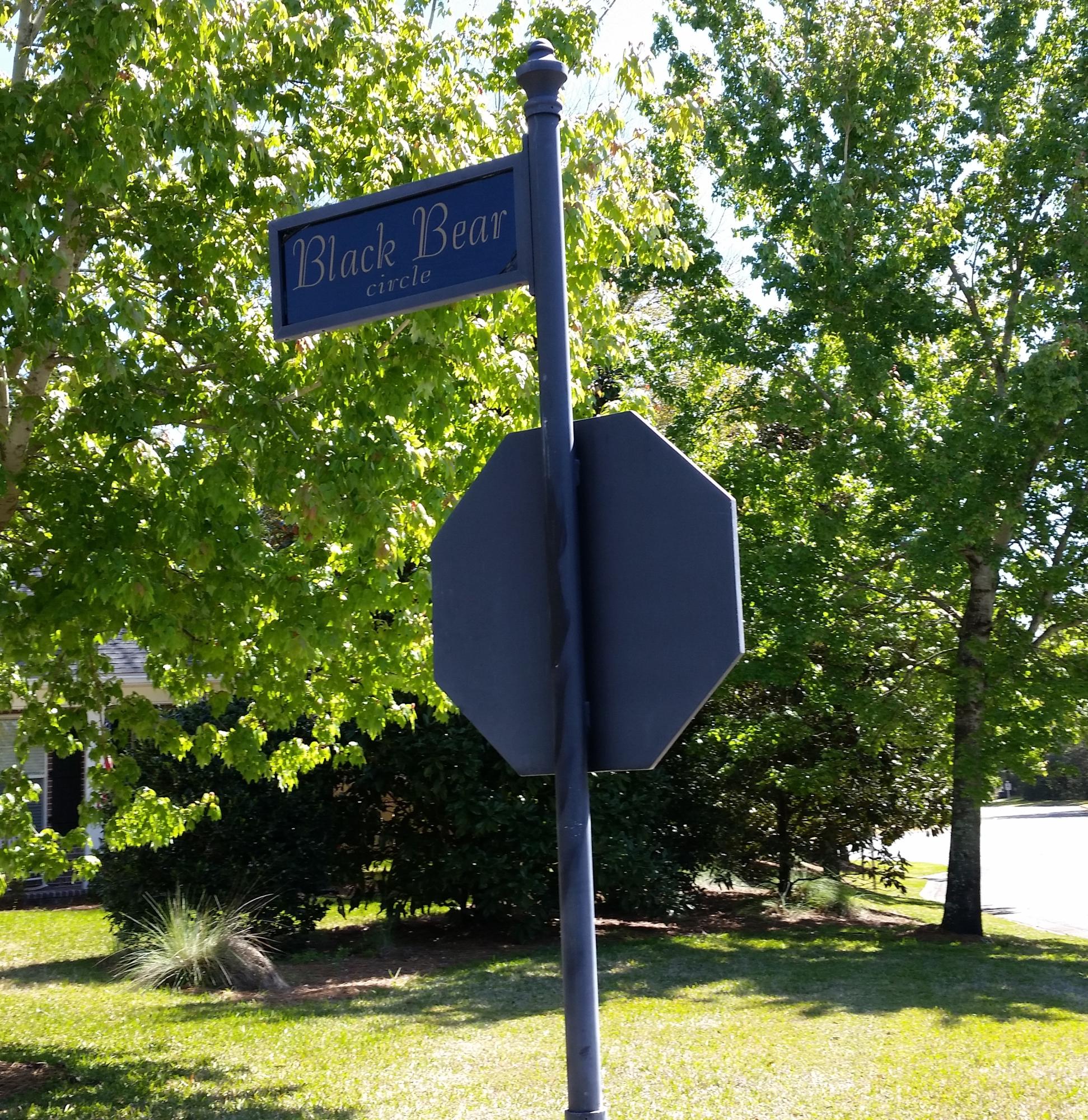 THE PRESERVE AT SWIFT CREEK - Residential