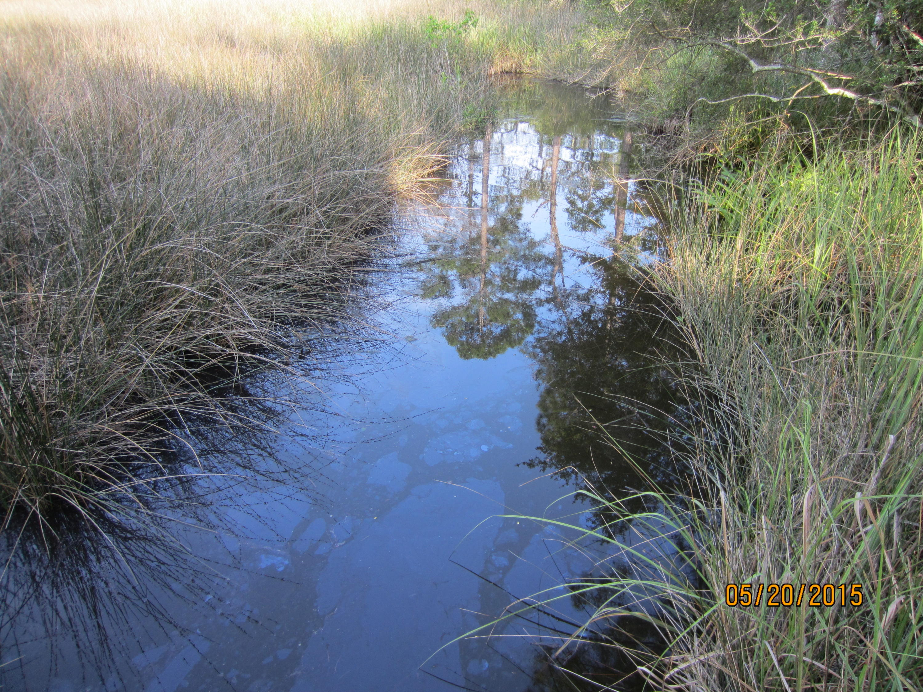 MALLET BAYOU REACH PH 1 - Land