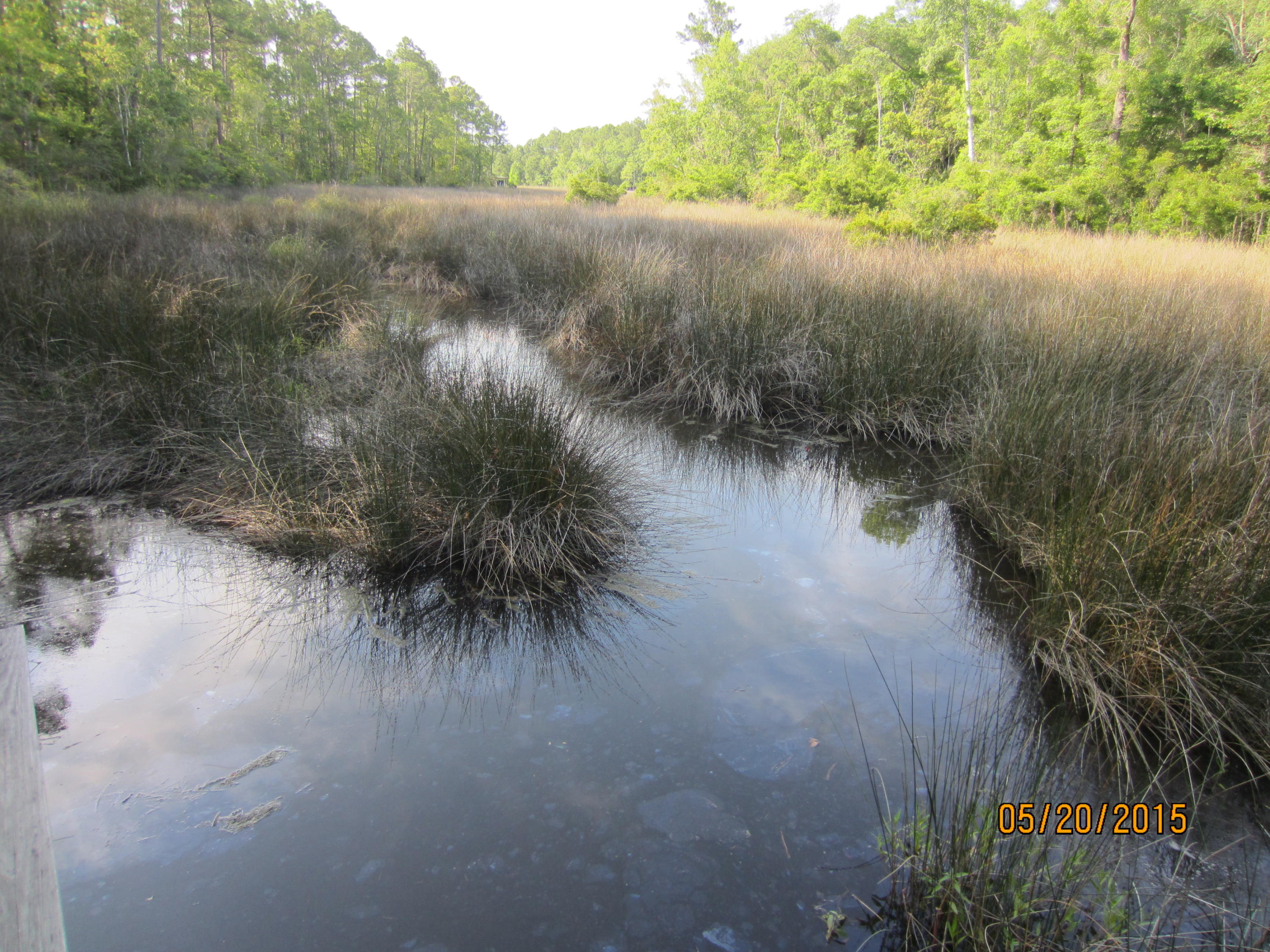 MALLET BAYOU REACH PH 1 - Land