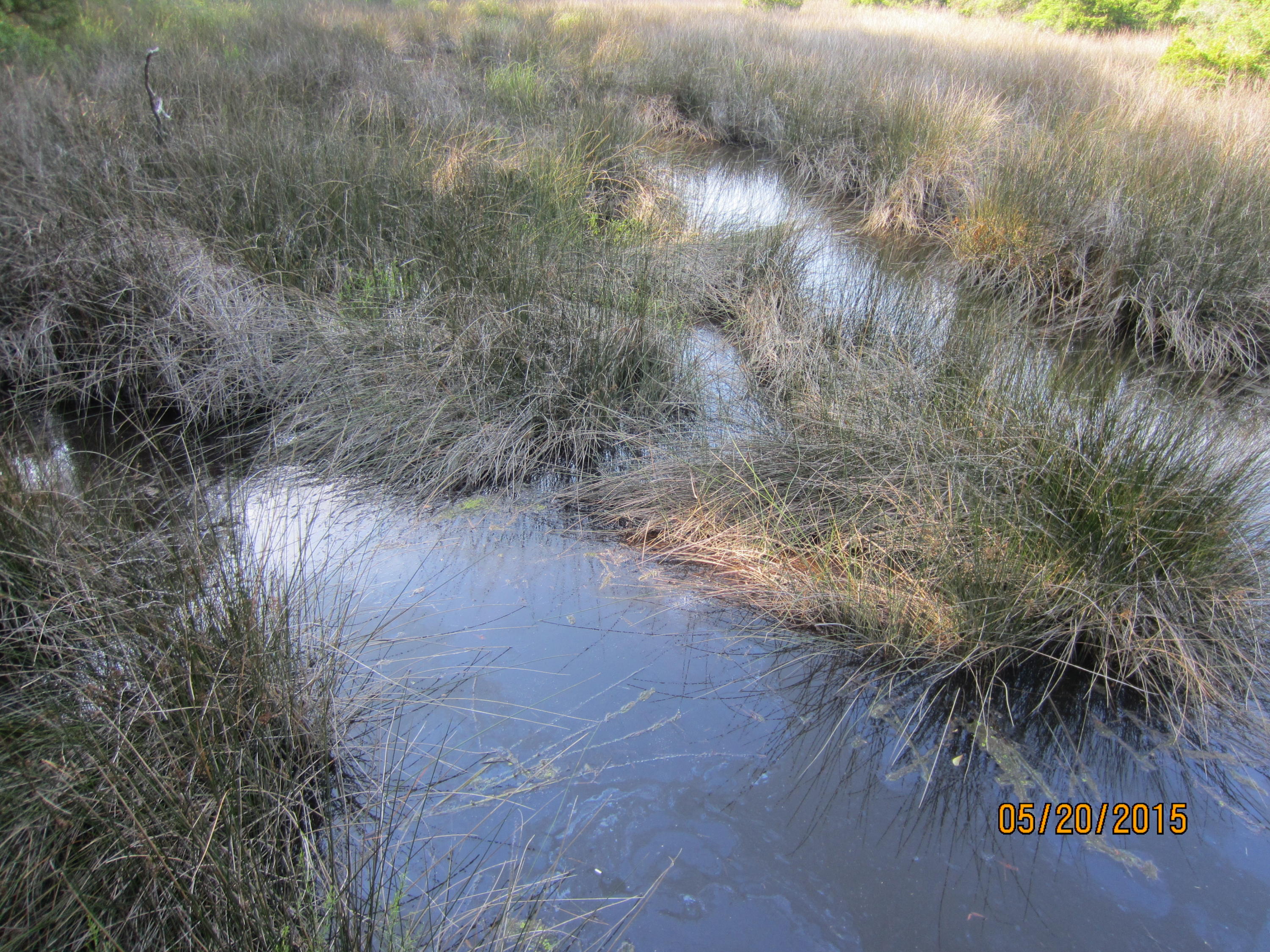 MALLET BAYOU REACH PH 1 - Land