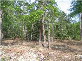 MALLET BAYOU REACH PH 1 - Land