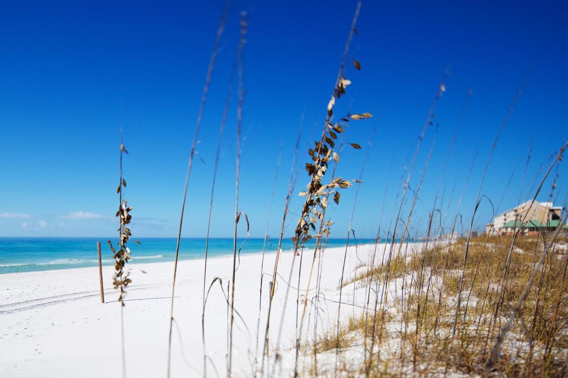 One Twenty Five Crystal Beach Drive - Residential Lease