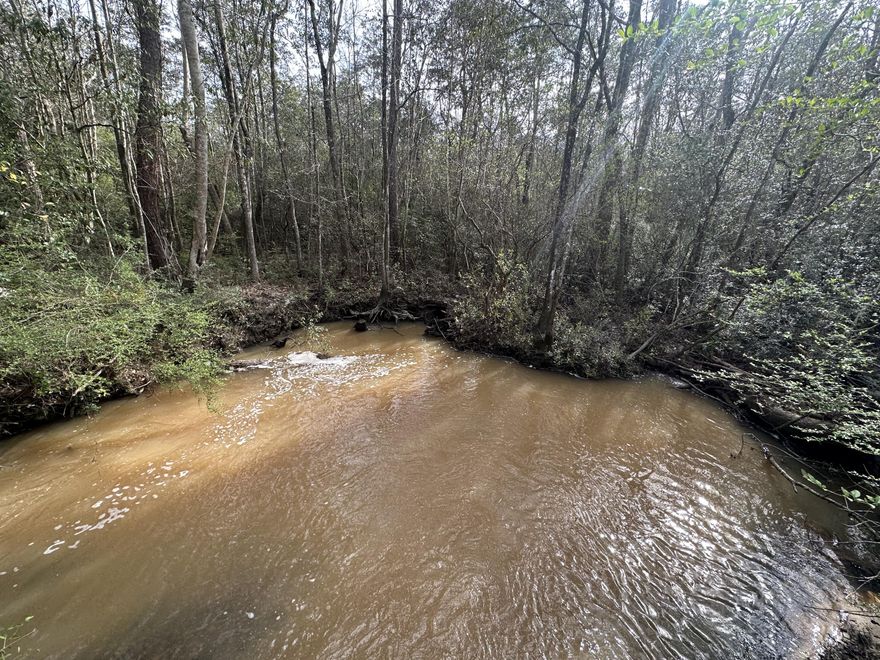 Explore endless opportunities for recreational activities with the 14+/- recreational tract, perfect for hiking, hunting, fishing, and wetlands mitigation. What's more, motorsports enthusiasts can indulge in their passion, as the tract has the potential for an RC racing and dirt track. Property is in flood zone AE with NO estimated dry land is available for building purposes, the vast expanse of this property offers ample space for your dream recreational pursuits. Don't miss out on this one-of-a-kind chance to experience the great outdoors.