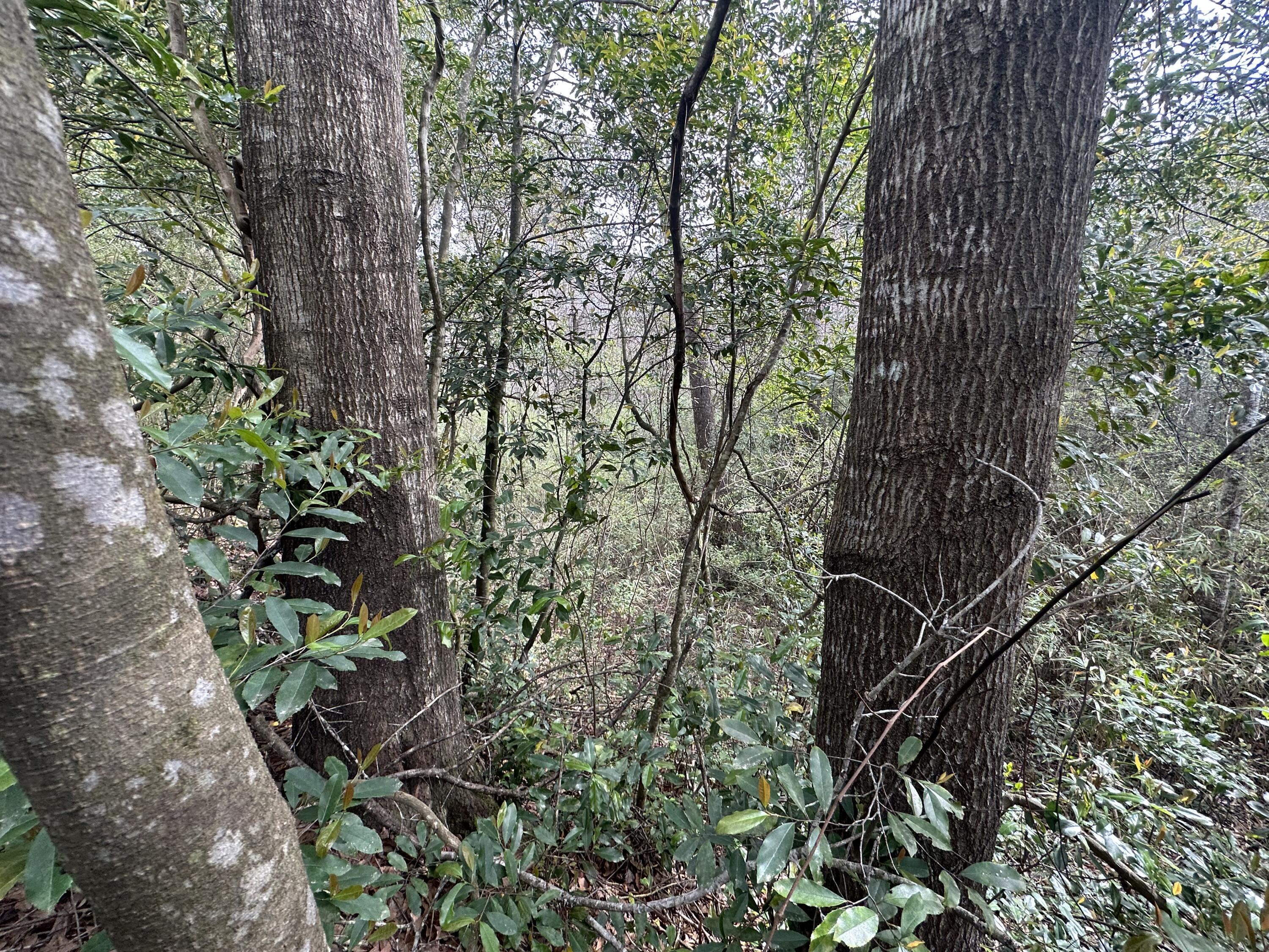 TWIN LAKES ESTATES - Land