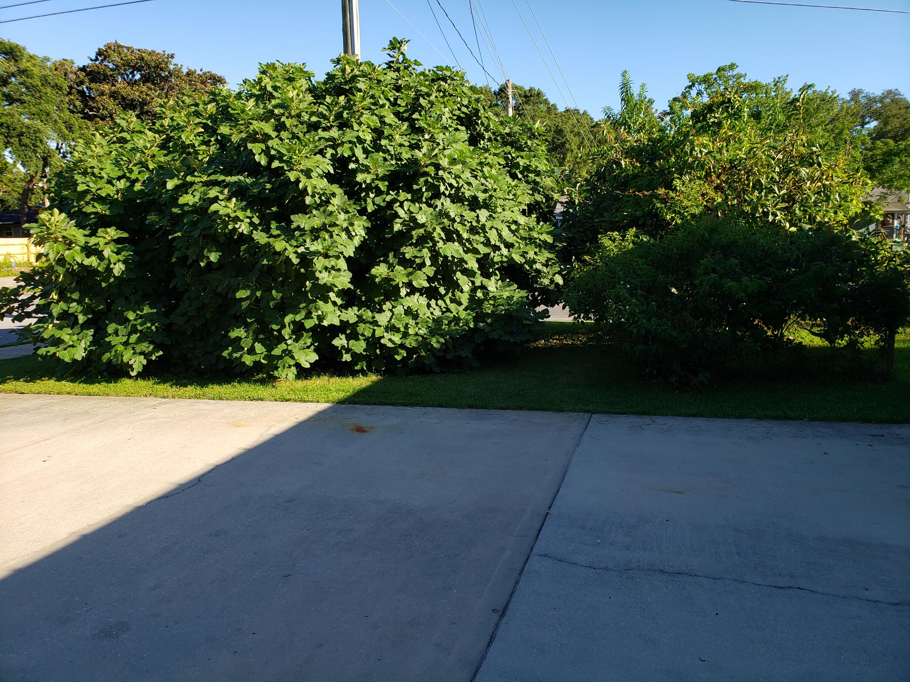 OCEAN CITY - Residential