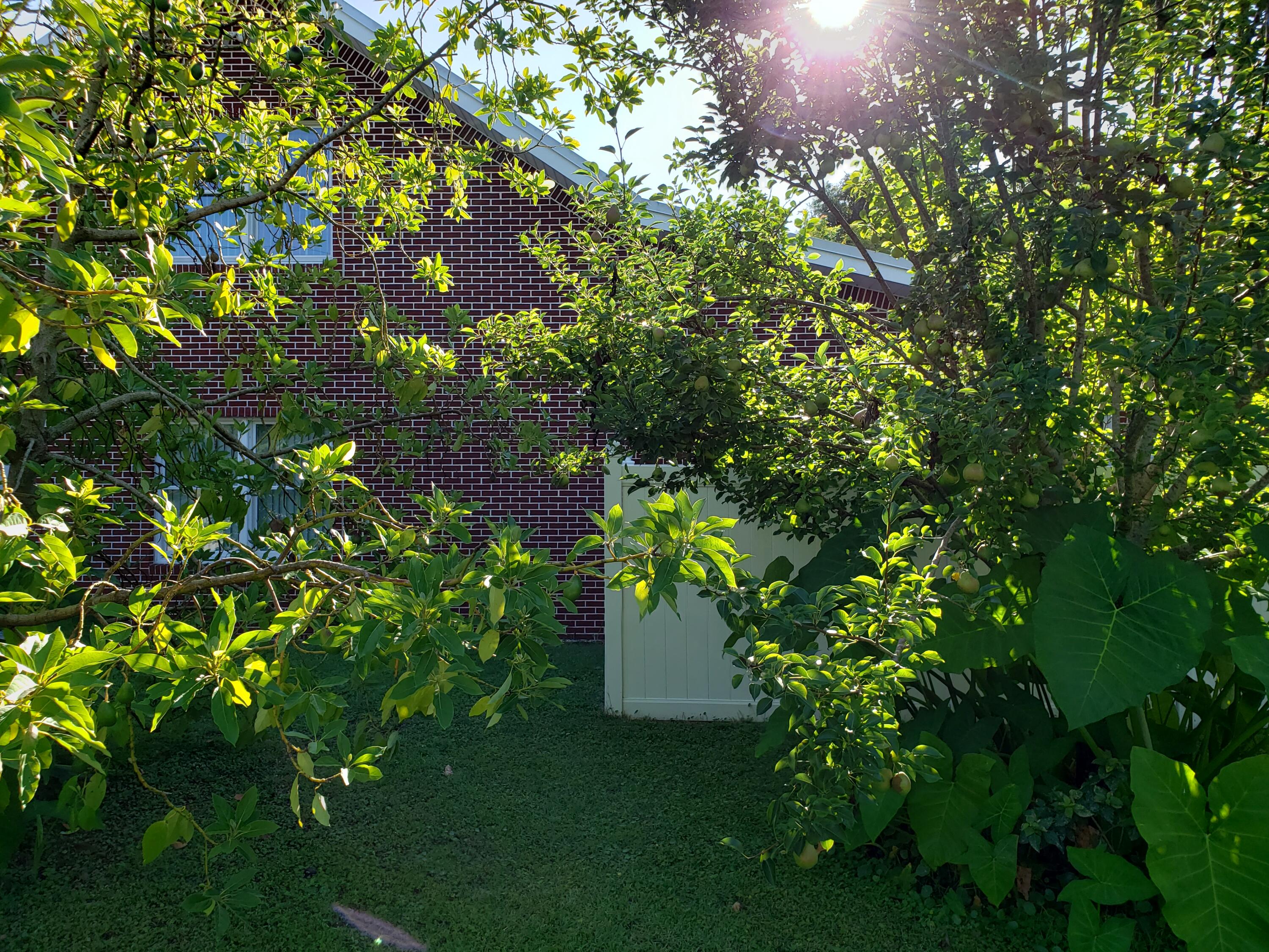 OCEAN CITY - Residential