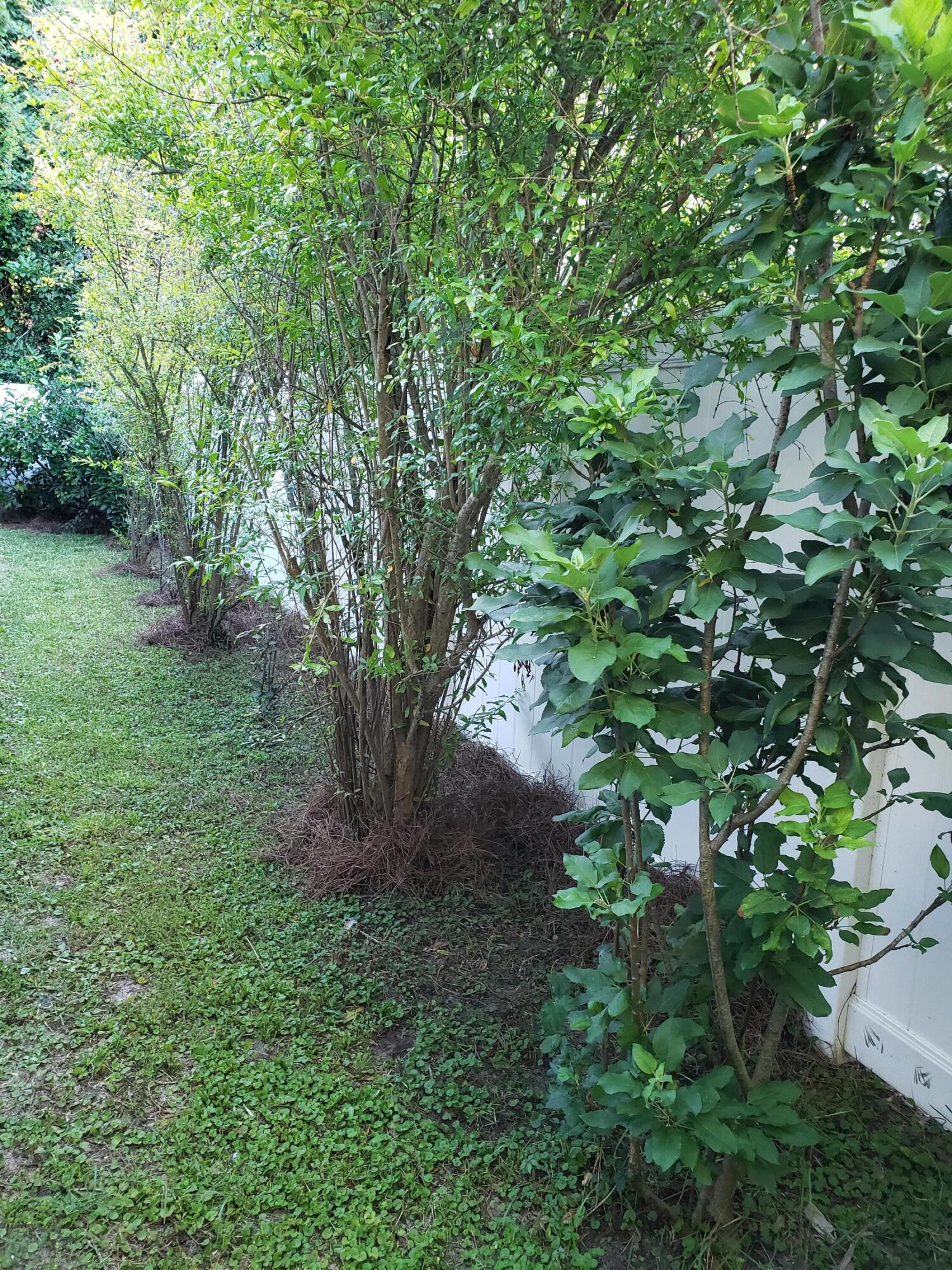 OCEAN CITY - Residential