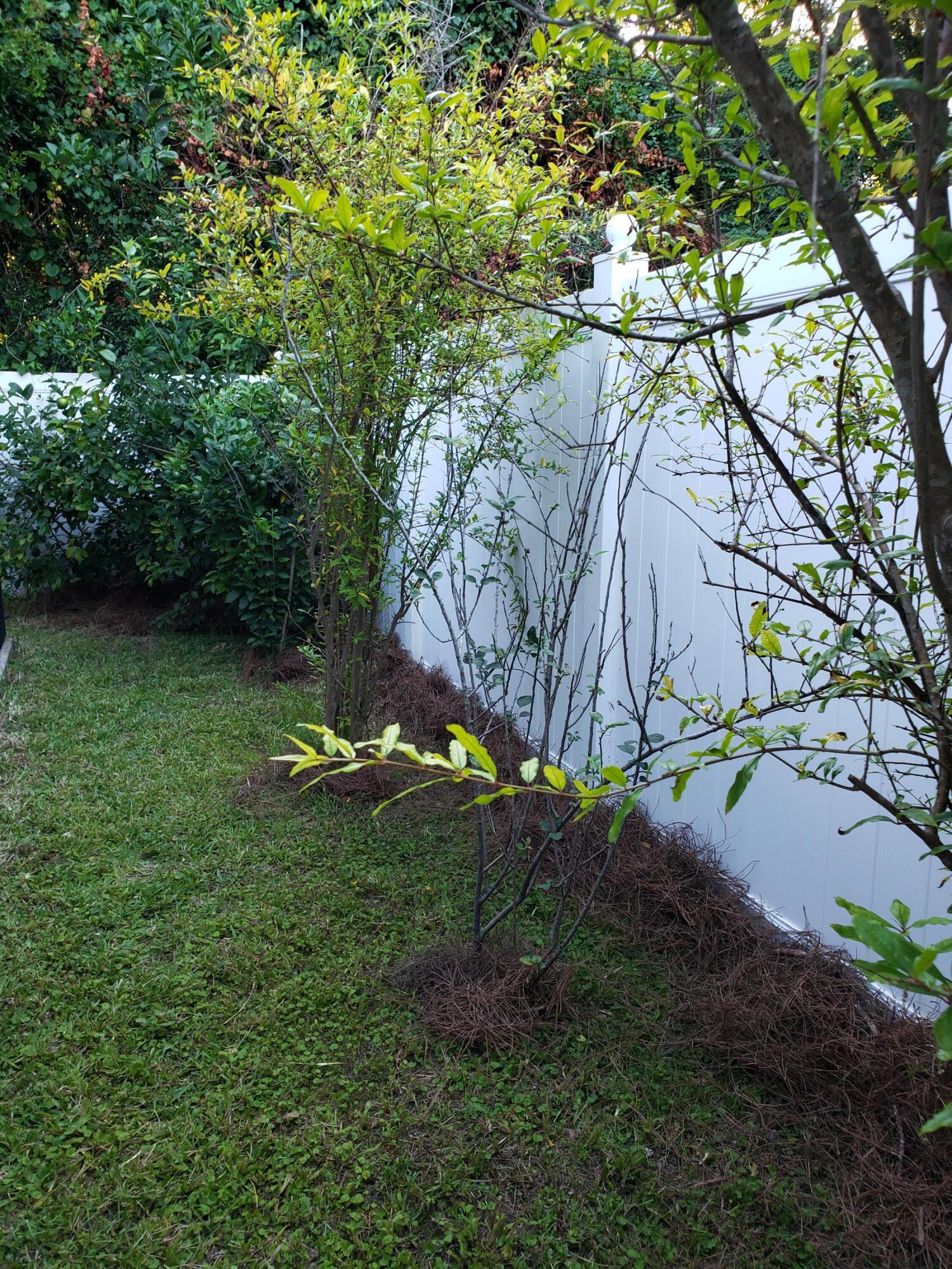 OCEAN CITY - Residential