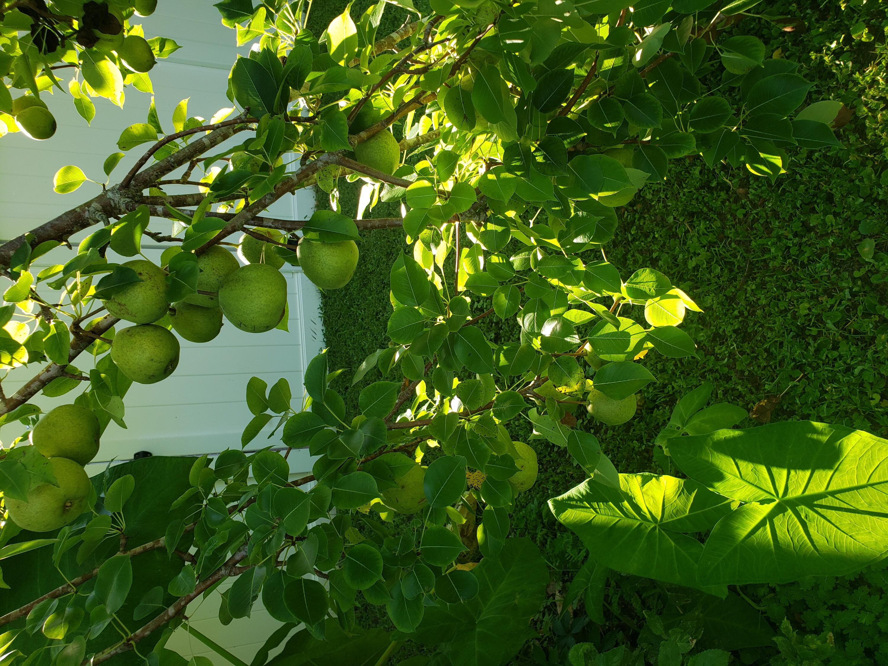 OCEAN CITY - Residential